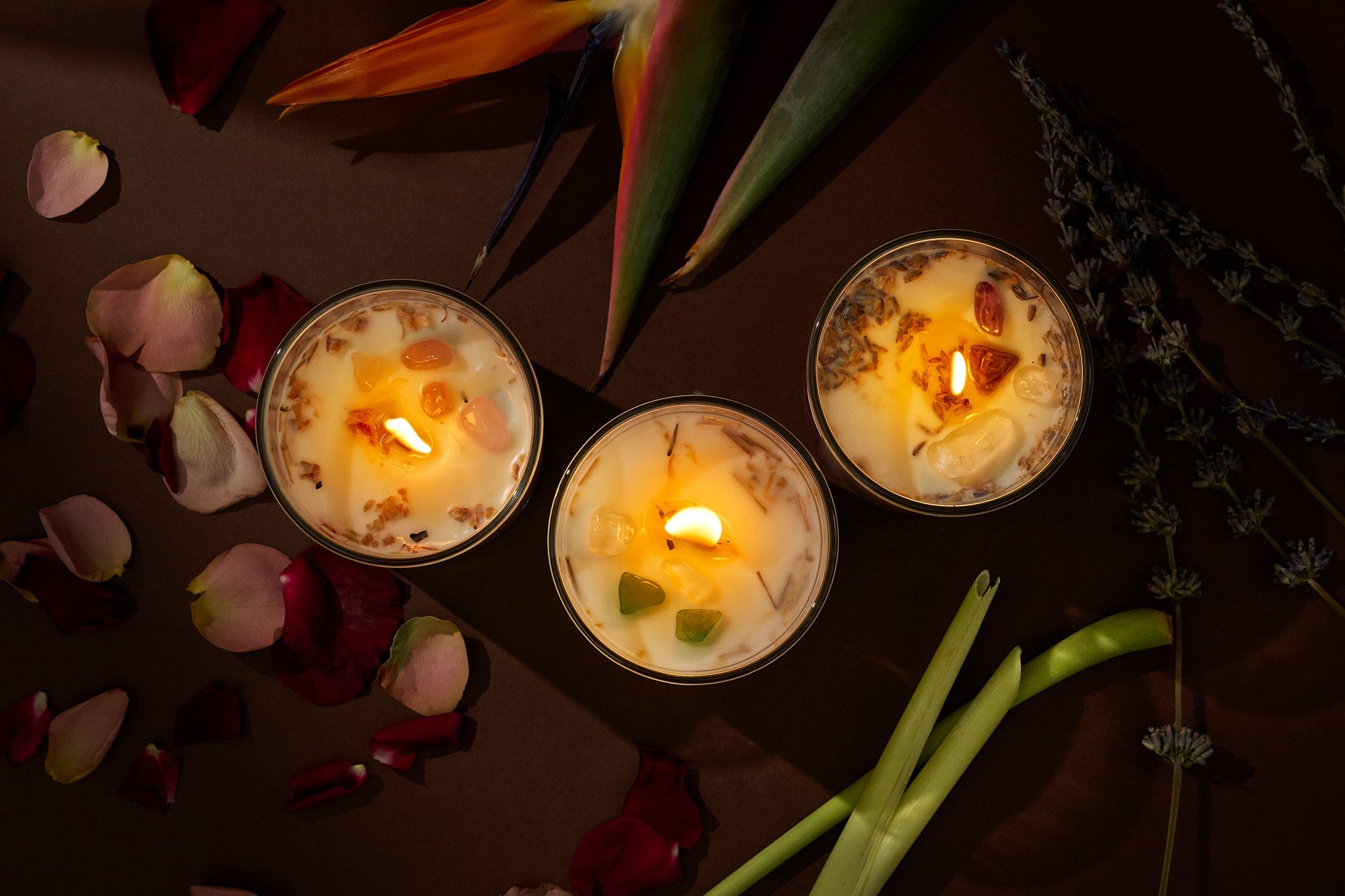 Wellness Gifting